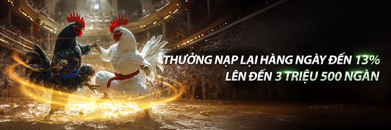 Đá Gà Trực Tuyến t888