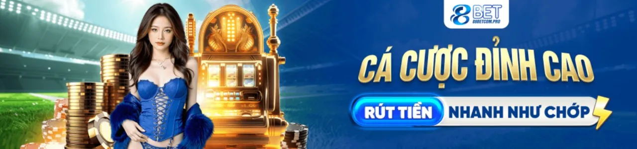 Hình ảnh minh họa các loại thông tin t888 thu thập để đảm bảo an toàn và dịch vụ tốt nhất cho người dùng.