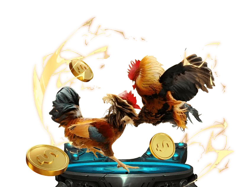 Kiểm tra giấy phép và uy tín của nhà cái